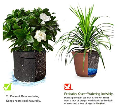 2-Pack Grow Bags/Aeration Fabric Pots With Handles(Available Capacities: 3 Gallon, 5 Gallon, 7 Gallon, 10 Gallon, 15 Gallon) (10 Gallon) #TOP5