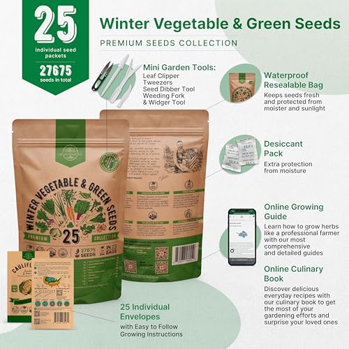 Organo Republic 25 Winter Vegetable & Green Seeds Variety Pack for Outdoors & Indoor Home Gardening 27670+ Non-GMO Heirloom Seeds: Broccoli Beet Carrot Collard Lettuce Radish Spinach Pea Kohlrabi - Image 3