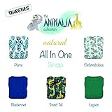 Thirsties Animalia Cloth Diaper Collection Package, Snap Natural One Size All in One Cloth Diaper, Animalia