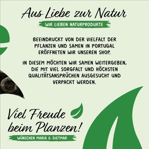 Prademir – Gemüsesamen Set “Indoor-Mix” aus 16 Sorten Premium Gemüse Samen – samenfestes Gemüse Saatgut für Balkon, Gewächshaus, Wohnung, Terrasse & Fensterbank – nahezu 100% Keimrate - Image 7