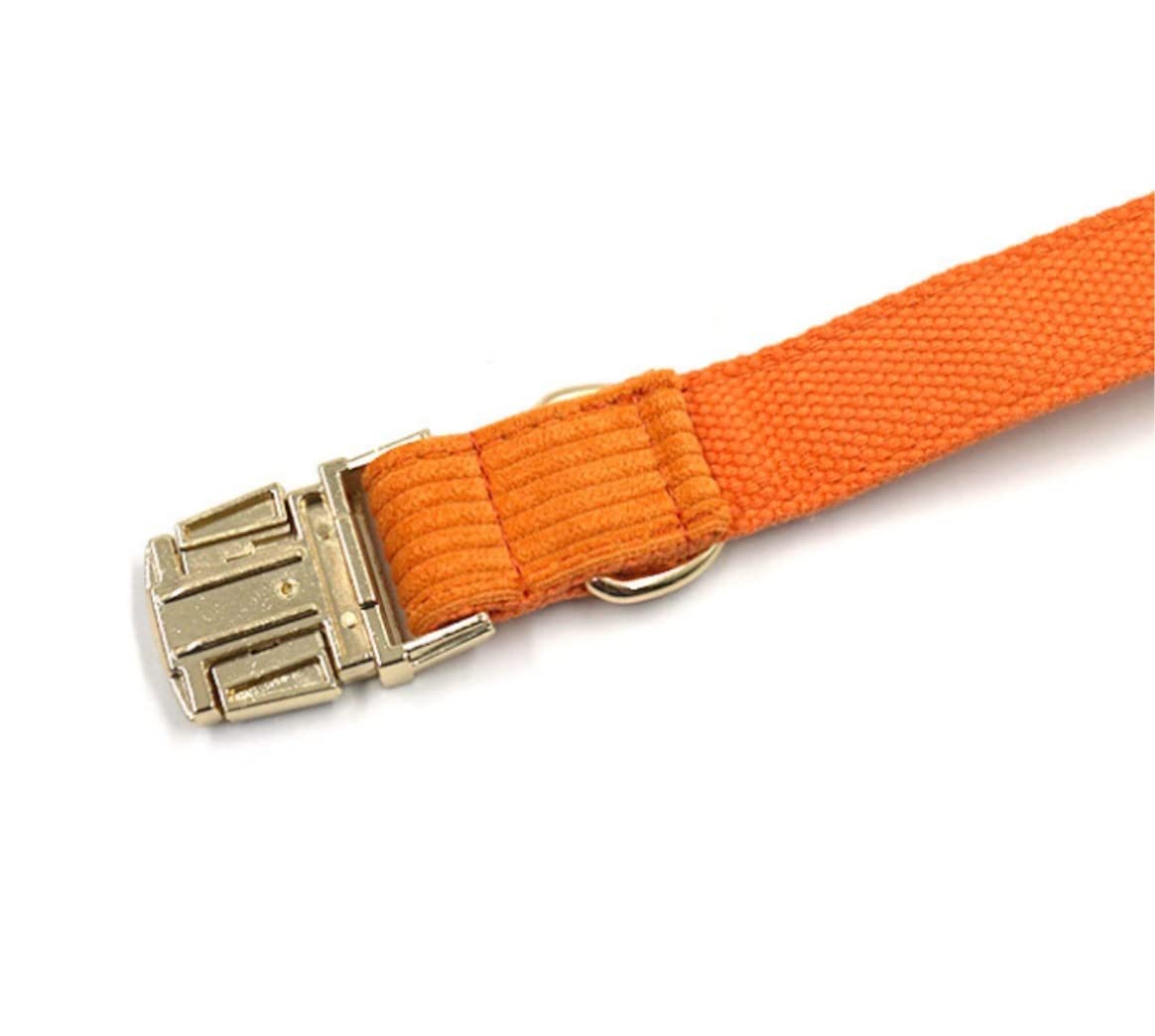 Morbido Guinzaglio Per Cani Guinzaglio A Catena Per Cani Con Fibbia In Acciaio Resistente Collare Papillon Forte A In Argento Dorato Per Antiscivolo Flexi(49-55cm)