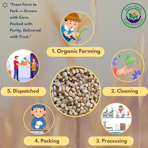 Image of Eywa Seeds & Exports Pvt Ltd Organic Sonamoti Wheat /Pagambari Wheat Flour (10 Kg) For Eating And Cooking|Sonamoti Golden Daane Wheat|Produce Of India From Organic Farms