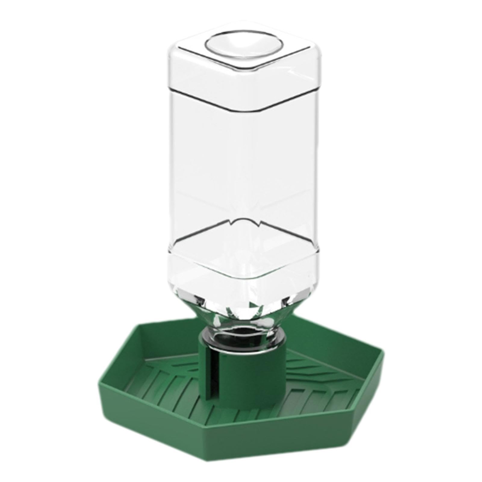 Dispensador de agua para reptiles, accesorios de alimentación de lagartos, cuenco de agua desmontable para tortugas, dragones barbudos y lagartijas