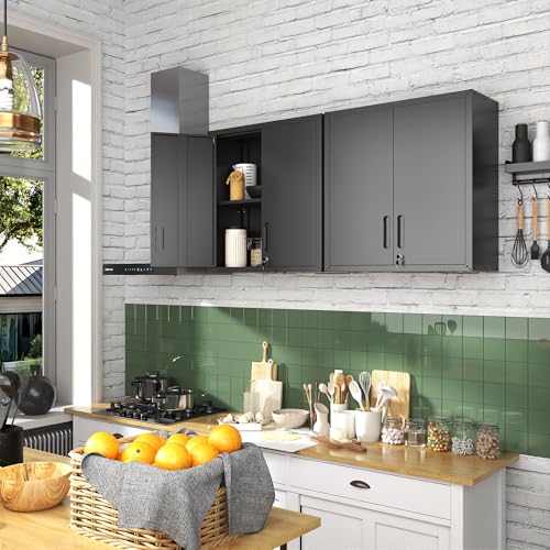 BIZOEIRON Werkzeugschrank Hängend, Metall Wandschrank mit 2 Türen, Hängeschrank für Garage, Werkstattschrank Wand, Montage Erforderlich, Schwarz & Grau