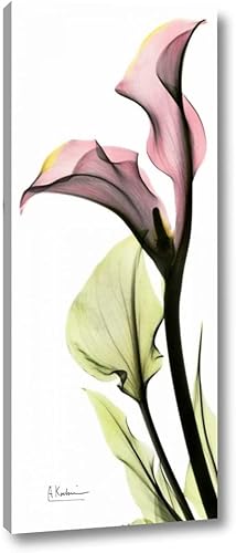 Albert Koetsier - Lienzo impreso con diseño de lirio de cala en color, 6 x 16 pulgadas, con envoltura de galería, listo para colgar