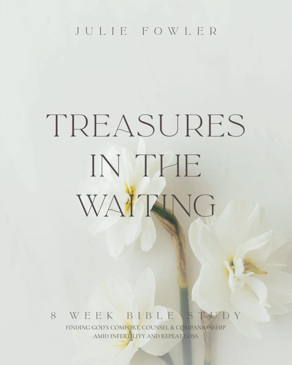 Treasures in the Waiting: Finding God’s Comfort, Counsel, and Companionship Amid Infertility and Repeat Loss