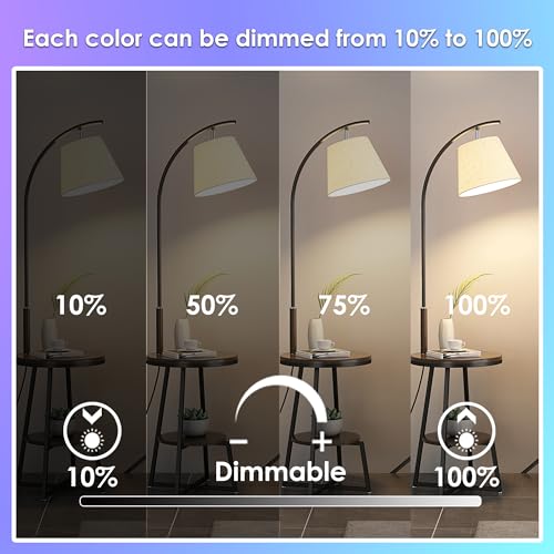 Image of FTL Color Changing Light Bulb with Remote Control, A19 E26 Dimmable RGB LED Colored Light Bulbs 8W 60W Equivalent, 30 Colors, 2700K-6000K, Timer, Multi Color Recessed Light Bulbs for Bedroom, 4-Pack