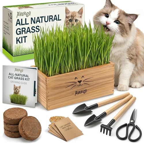Cat Grass Kit for Indoor Cats – x4 Seed Packets