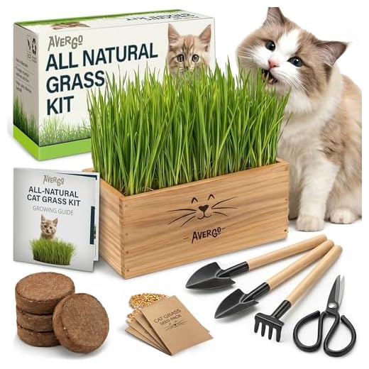 Cat Grass Kit for Indoor Cats – x4 Seed Packets