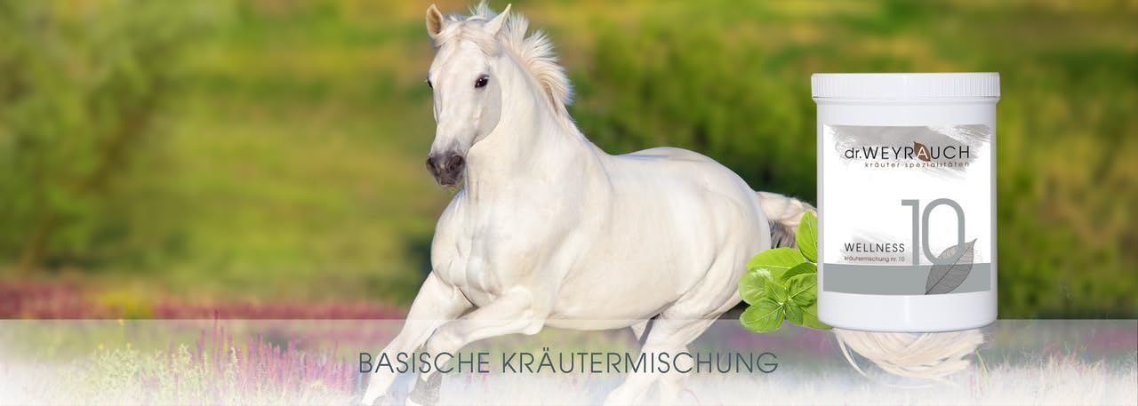Dr. Weyrauch Nr 10- Wellness 600 g