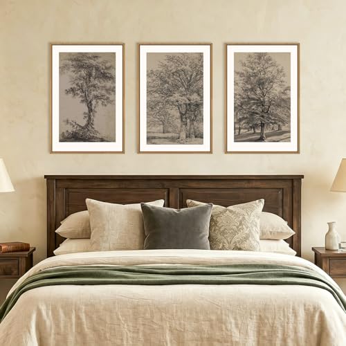Image of KAIRNE Vintage Tree Sketch Framed Canvas Wall Art Set, Antique Tree Drawings Wall Decor, Retro Forest Art Prints, Modern Nature Landscape Artwork for Living Room, Bedroom, Farmhouse, Office-24 x36 x3