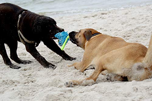 Dingo Mop Bungee Blau Mikrofaser mit Vanille Duft Ball Hundespielzeug Agility Apporte zum Spielen Tauziehen Beweglichkeit Wassertraining 15587-2