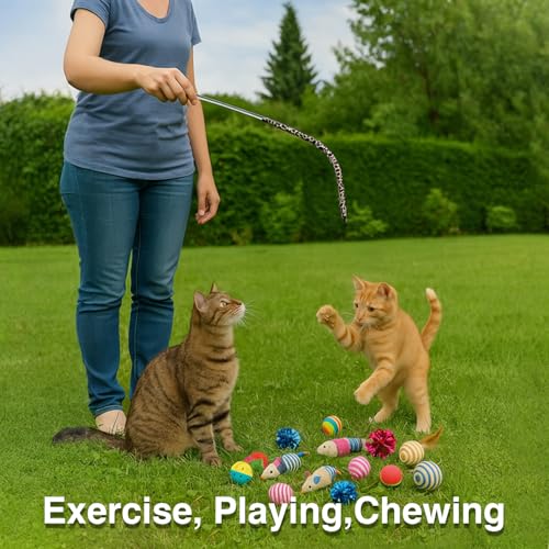 Image of 20 Pcs Cat Toy Set | Interactive Cat Teaser & Play Kit | Feather Wand, Plush Mice, Crinkle Balls, Tunnel & More | Indoor Toy for Kittens & Adult Cats