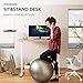 FLEXISPOT E6 Essential Bamboo 3 Stages Dual Motor 60x30 Inch Electric Height Adjustable Standing Whole-Piece Board Desk Sit Stand Up Desk (White Frame + Bamboo Desktop)
