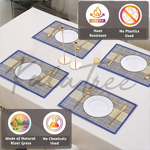 Image of Table Mats Set of 4 Handmade Reversible Heat Resistant | River Grass Dining Placemats Zero Plastic | Natural Madurkathi Eco Friendly | Rustic Boho Dcor | Graceful Blue Four Mats