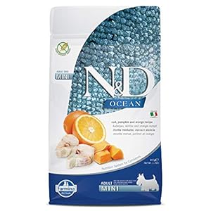FARMINA N&D Ocean Premium Dry Dog Pet Food, Grain-Free, Adult Mini Breed, 0.8-kg, Codfish Pumpkin and Orange