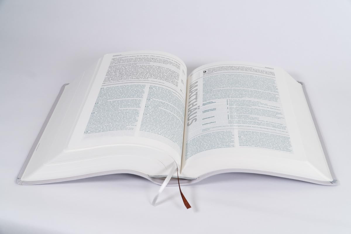Begegnung fürs Leben, Leder: Die Studienbibel für jeden Tag (Neues Leben. Die Bibel)