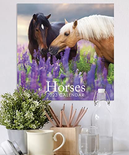 2023 Horses 12" X 12" Square Wall Calendar, No Plastic, Pony Equine Gift Planner Organizer #TOP3
