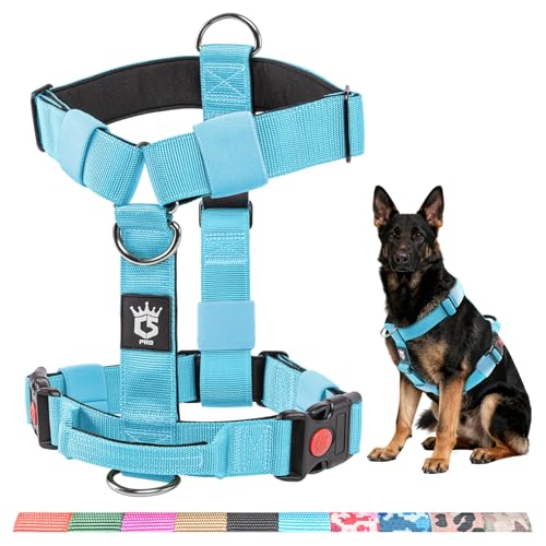 TSPRO v~Awr[f[eB[pn[lXA߉\ȃ^NeBJpn[lX ^p NCbN[XobNƉKȃ\tgnht OEH[LO⃉jOp (u[M)