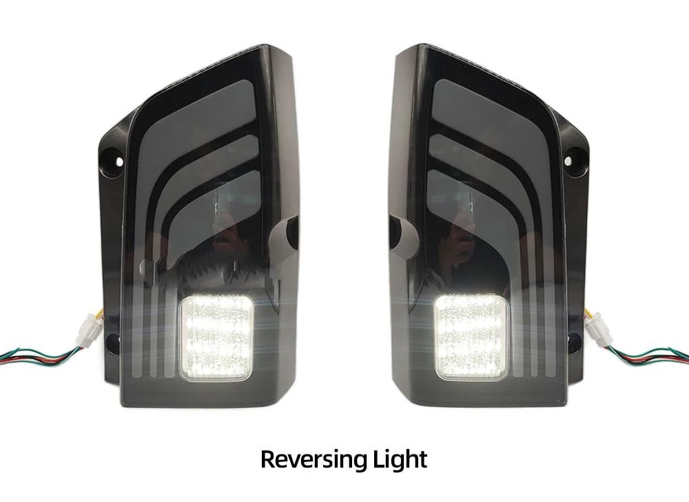 Piloto Trasero para Nissan para Pathfinder R51 2004-2010 2011 2012 2013 Luces Led Señal Giro Freno Lámpara Antiniebla Luz Trasera Coche Luces Cola (Color : A Pair)