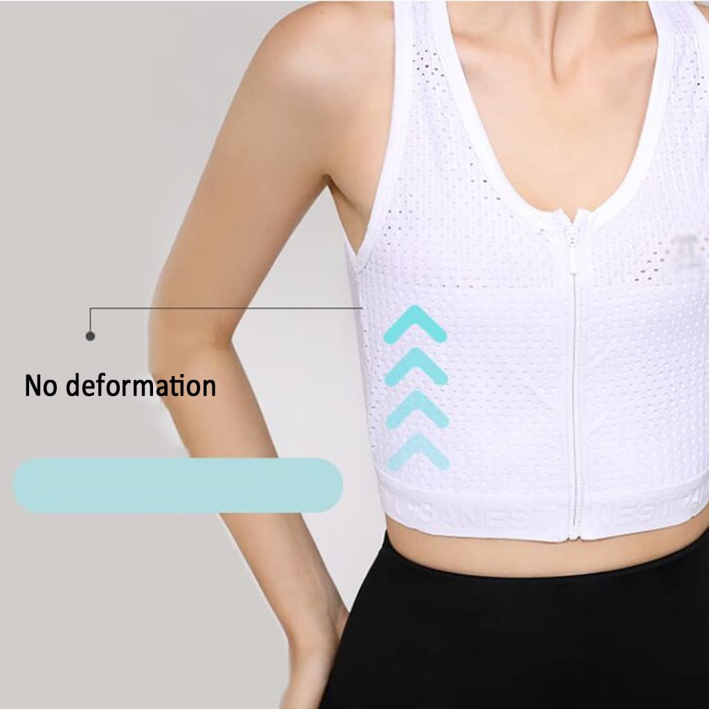 Amazon.co.jp: チェストバインダー ジップアップ チェスト