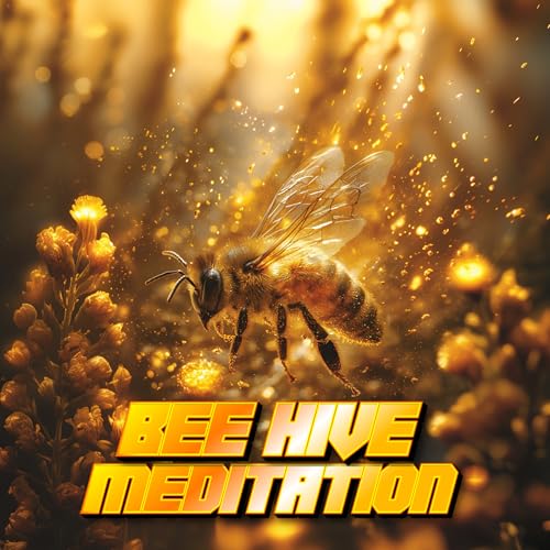 Bee Hive Meditation