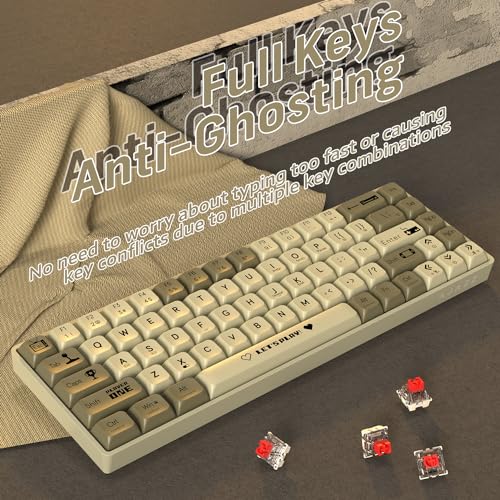 Clavier programmable anti-ghosting AK680 avec touches interchangeables