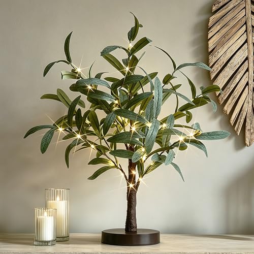 Hairui Lighted Small Olive Tree Battery Operated or USB 18in 50 Warm White LED with Timer, Light Up...