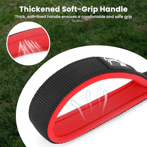 PETTOM Kurzführer Hund mit Griff Strapazierfähigem Nylongewebe Kurze Hundeleine für Hundetraining Geeignet (M: 2.5 x 32 cm, Schwarz)