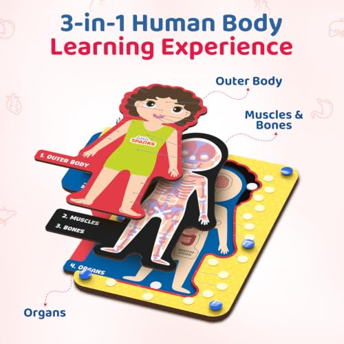Image of Smartivity Human Body Parts Puzzle for Kids 4-7 Years | 40+ Learning Cards - Teaches Outer Body & Organs | See Bones with Magic X-RAY I Birthday Gift for Boys & Girls