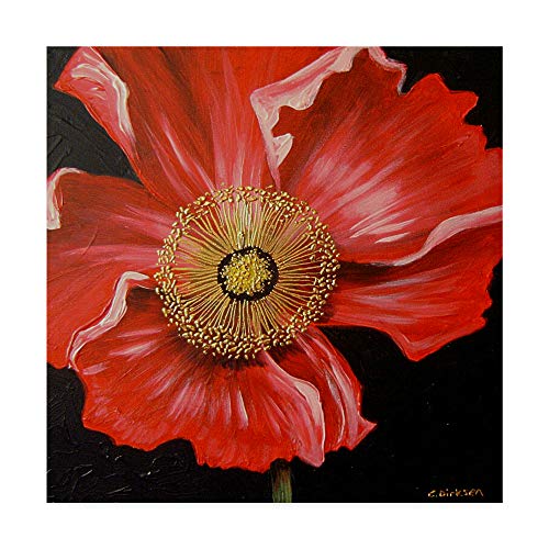 Trademark Fine Art Red Poppy Over Black by Cherie Roe Dirksen, 24x24-Inch