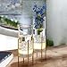 MJ PREMIER Glass Vase Flower Vase with Battery Operated LED Timing Function Plant Table Tube Vase Terrariums Clear Vases wifh Plant Stand Decor for Home Indoor Outdoor Centerpiece Decoration