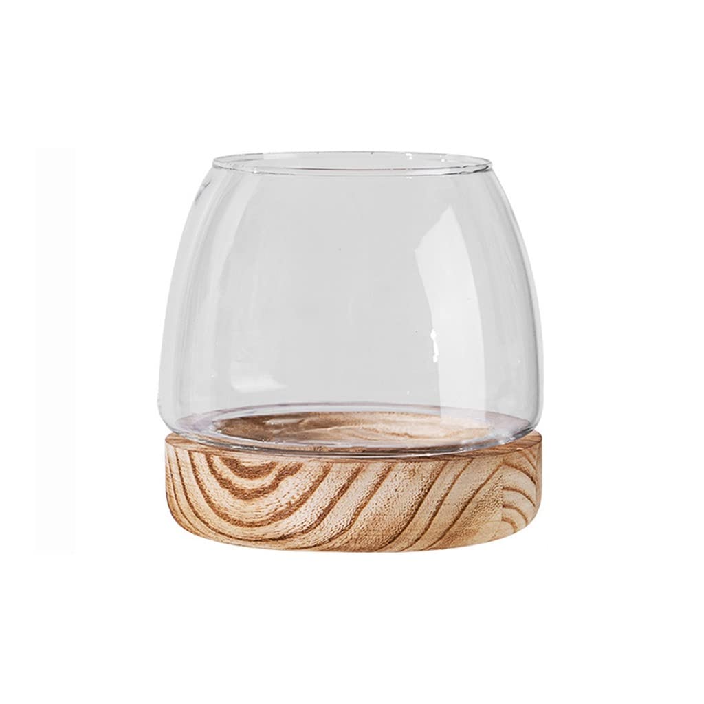 Vase décoration simple en verre transparent pour plante hydroponique et green dill