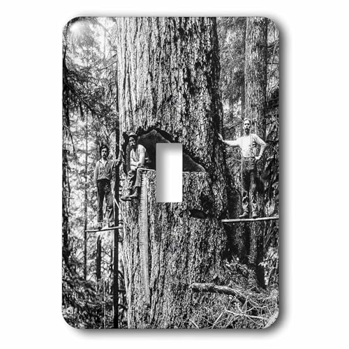 Interrupteur à bascule simple 3dRose bois vintage sapin de l'Oregon