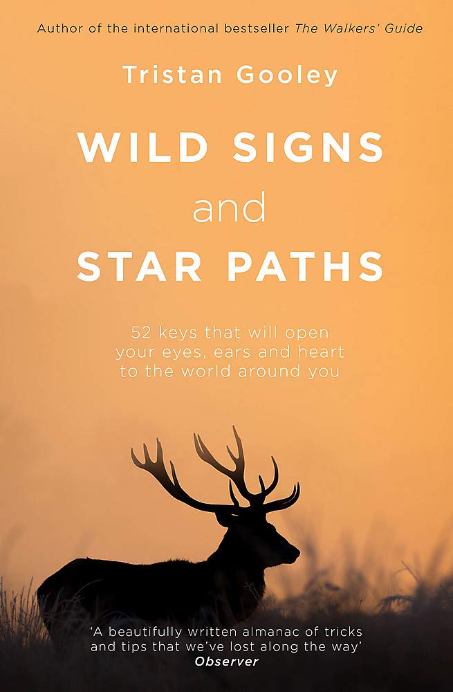 wild signs and star paths