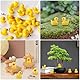 Fzyisw Mini Harz Entchen 100 Stück Miniatur Enten, Mini Resin Ducks für DIY Potting Micro Landschaft Dekorationen