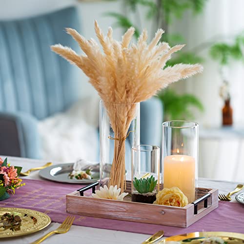 Hewory Glass Vase for Flowers 6Pcs Clear Cylinder Flower Vases for Living Room Glass Flower Vase for Table Centrepiece for Dining Room Home Decor Hurricane Candle Holders for Wedding 15/20/25 cm - Image 4