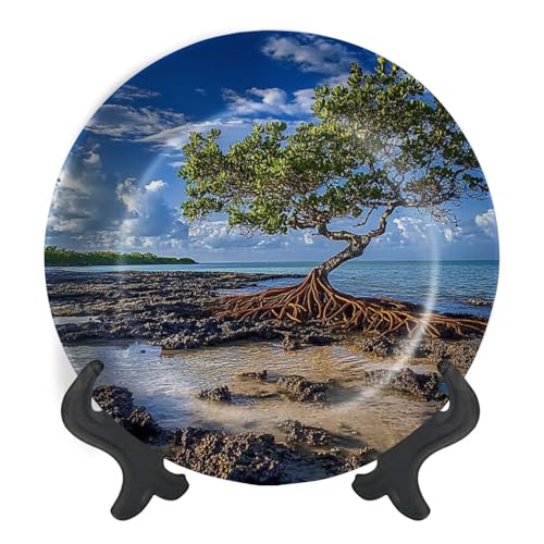 Decorative Plates for Display Mangrove Sunrise Spanish Harbor Key Gift Plates Ceramic Collections Plates Hanging Artwork for Living Dining Room Kitchen Souvenir