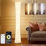 WORLD WIN LED Floor Lamp for Living Room, 61'' Modern Floor Lamp with 3 Color Temperature Light, APP & Remote Control, Timer Setting, Dimmable Standing Corner Lamps for Bedroom, Office