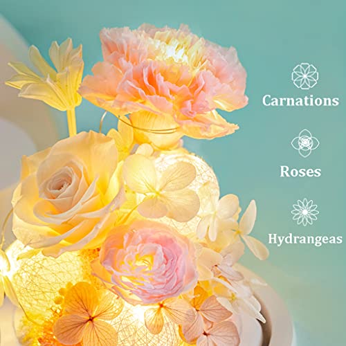 Flores preservadas para mamãe Cravos Presentes para mamãe Flores preservadas em vidro Cravos Flores