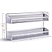 Simple Trending 2 Pack 2 Tier Spice Rack Organizer, Wall Mounted Spice Shelf Storage Holder for Kitchen Cabinet Pantry Door, Silver
