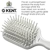 Kent AH8W Airhedz Cushion Paddle Brush - Scalp Massager and Detangler Brush - The Hair Brush for Thick Hair - Scalp Massager Hair Growth Stimulator - Hair Detangler and Curly Hair Brush