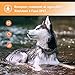 GLEADING Collar De Adiestramiento para Perros Mando. Rango De 300 Metros Recargable....
