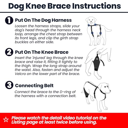 Image of Dog Knee Brace with Harness and Connection Belt, Lightweight and Stretchable, Support for Torn ACL Hind Leg, Luxating Patella, Reduces Arthritis Pain and Inflammation (XXX-Small)