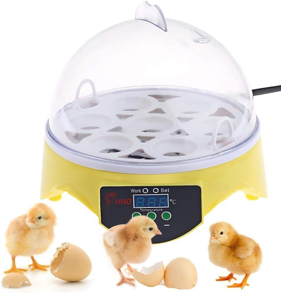 Mini Egg Incubator Automatic Digital 7 Eggs Poultry Hatcher Tool for Duck Bird Chicken Egg (Yellow)