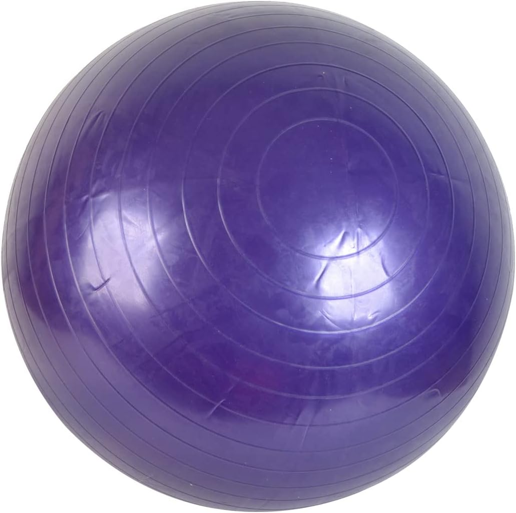 Rubber Gymnasium Fitness Inflatable Yoga Exercise Ball 55cm Purple (id: f0e cc1 6b8 43b 539