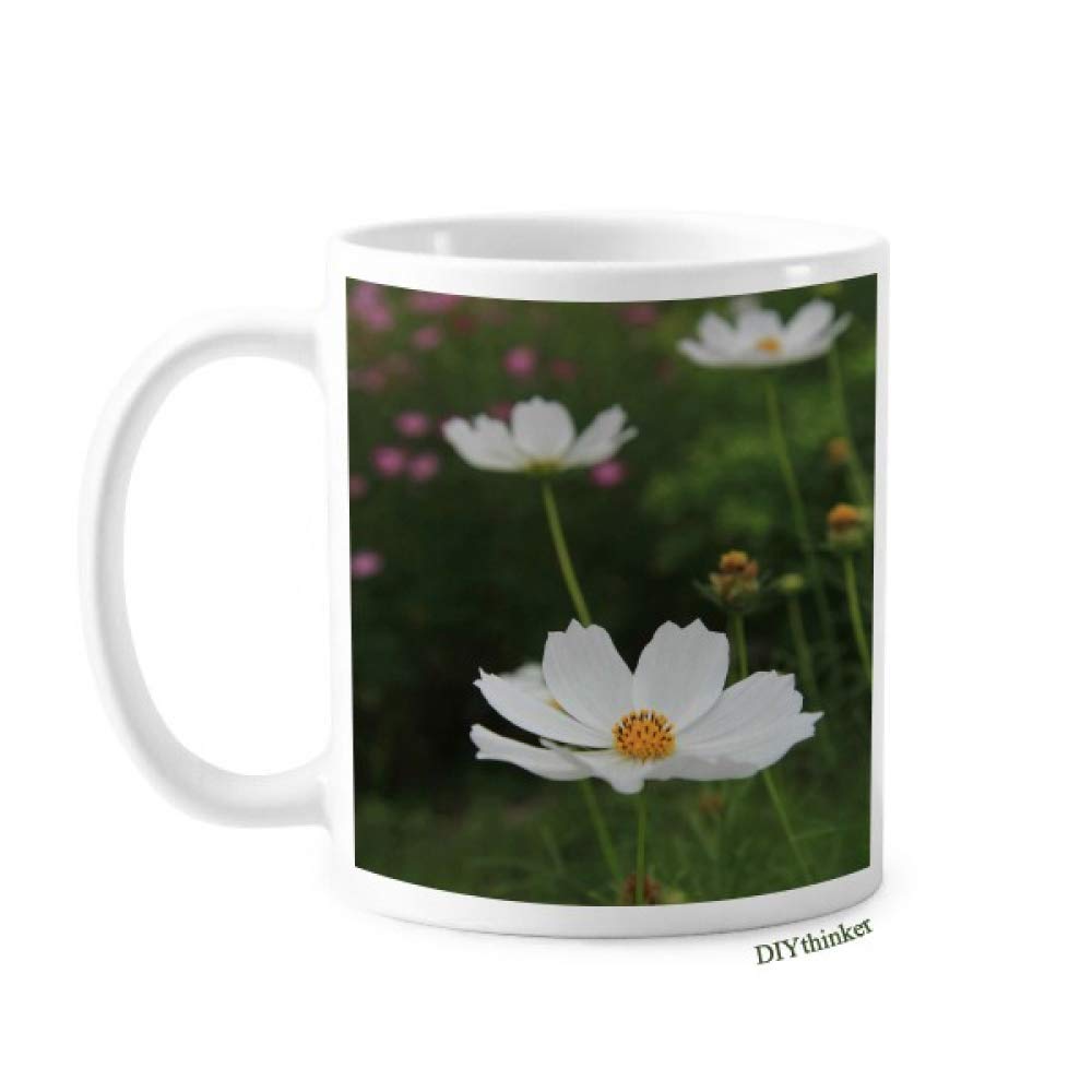 Three White Cosmos Art Deco Gift Fashion Mug Pottery Ceramic Coffee Porcelain Cup Tableware