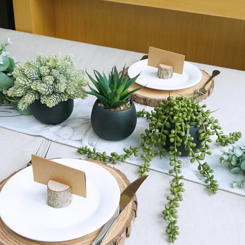 Winlyn Set of 3 Artificial Succulent Plants in Black Concrete Pots Faux Aloe Hops String of Pearls Potted Plants Small Fake Plants Desk Plants for Home Office Desk Kitchen Bathroom Shelf Windowsill - Image 5