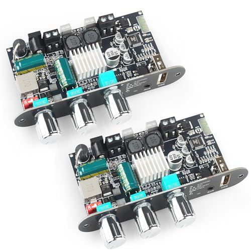 2Pcs ZK-1001U Mono Amplifier Board with TWS, 100W Power Output, Vehicle Amplifier Supports USB/AUX/Bluetooth,Wide Voltage Input DC9-24V (ZK-1001U X2)