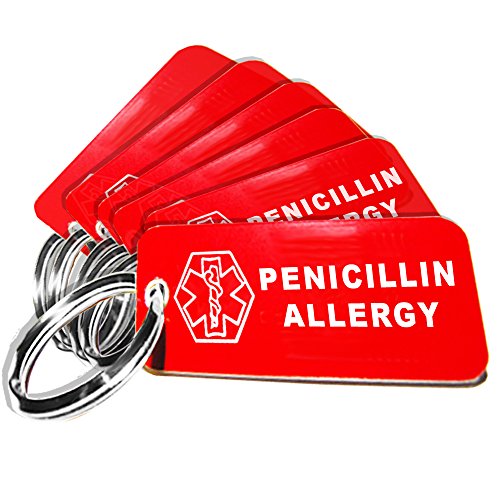 My Identity Doctor - 6 Pre-Engraved Penicillin Allergy Plastic Medical Alert ID Keychains, Small 2.25 x .79 Inch